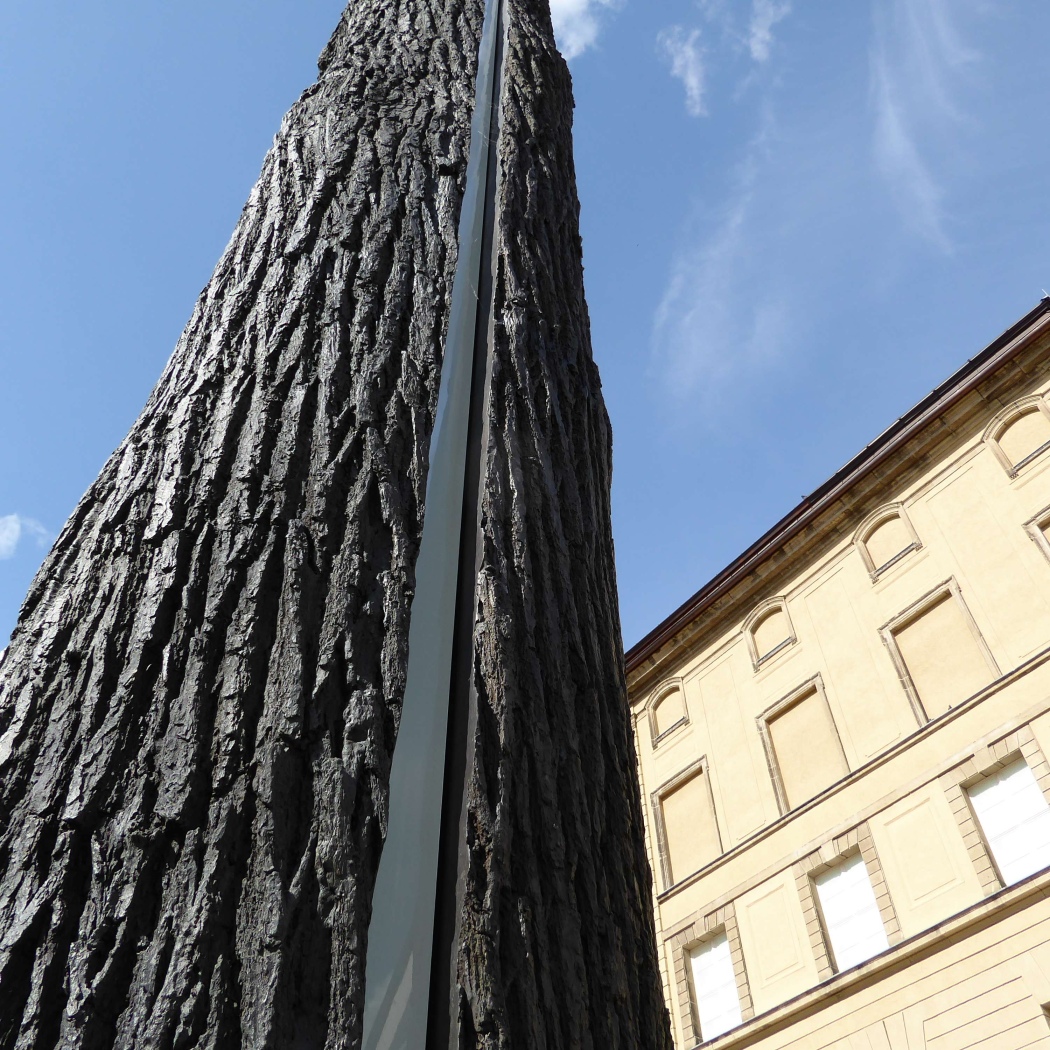 Lichtstrahleiche 1